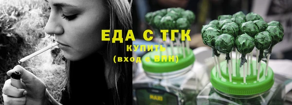индика Аркадак