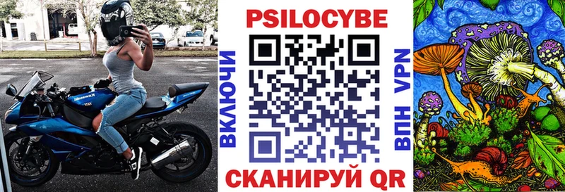Псилоцибиновые грибы GOLDEN TEACHER Болгар